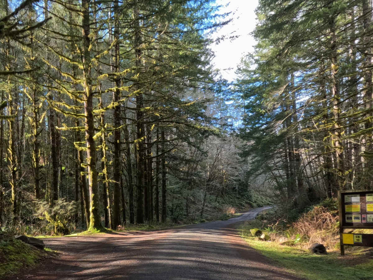 Idiot Creek Road photo 5