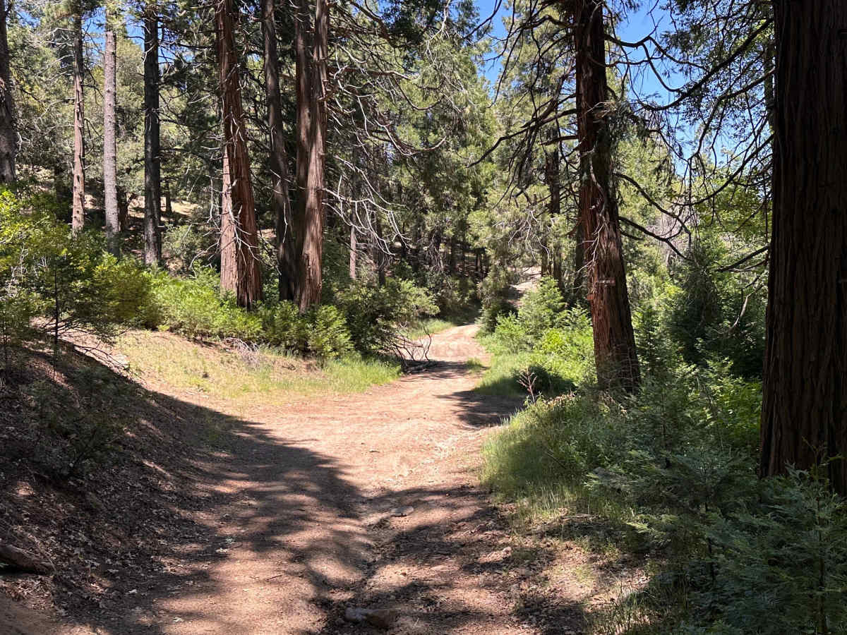 Firebreak Trail photo 5