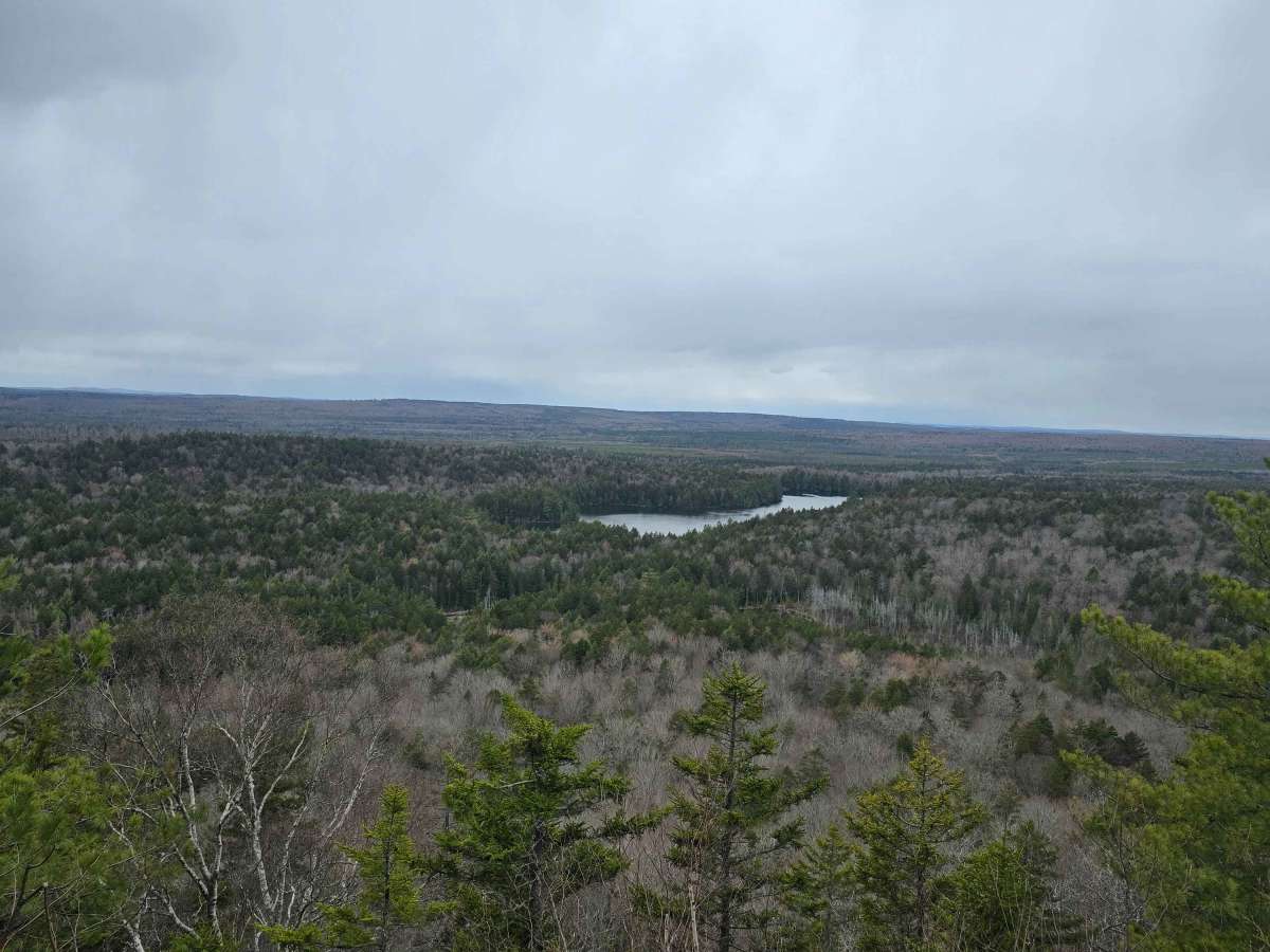 Ayers Lake Lookout trail photo