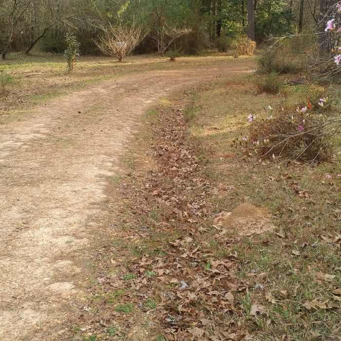 Near Fenceline Trail