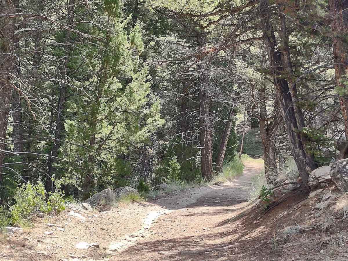 Wilderness Wanderings photo 6