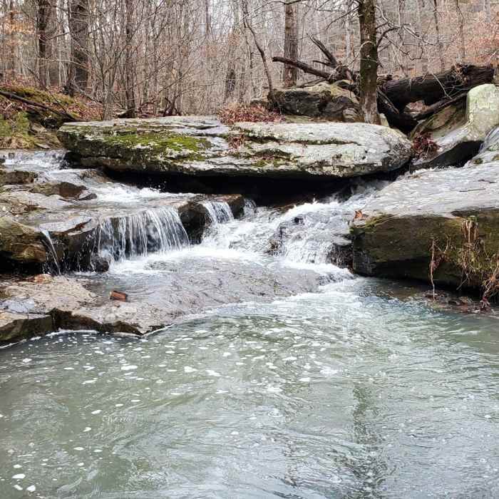 Converging small waterfalls. Near Happy Hollow Loop
