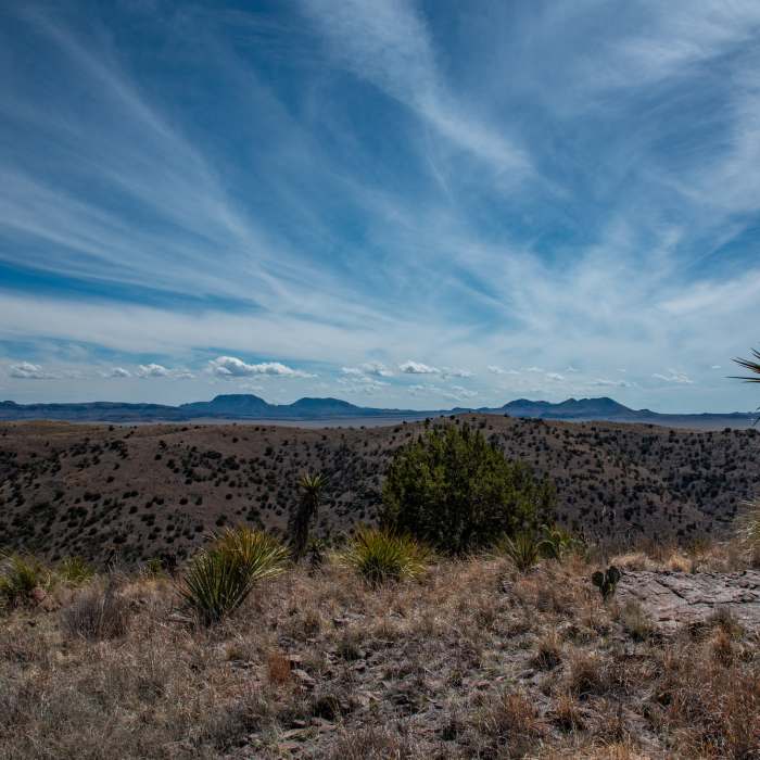 Near Indian Lodge/Montezuma Quail Loop