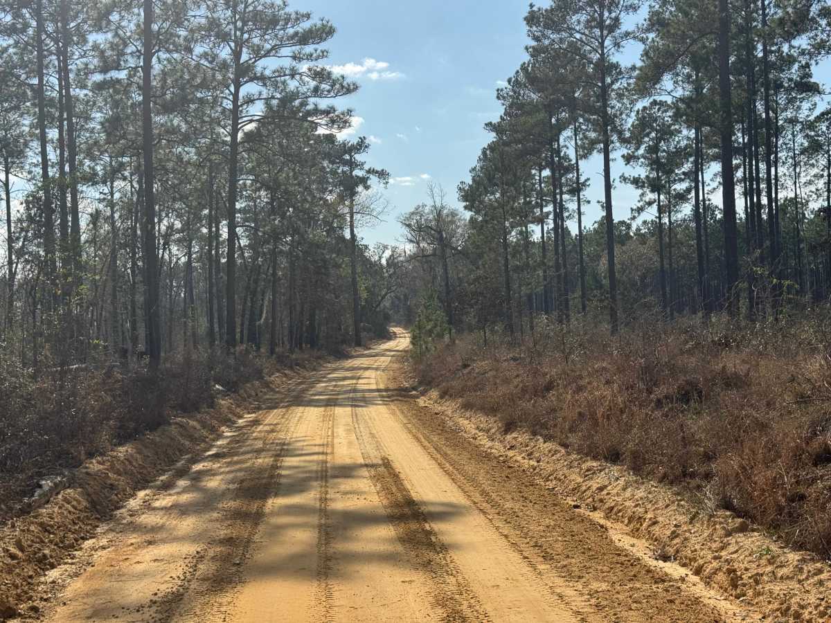 Ten Mile Still Road photo 4