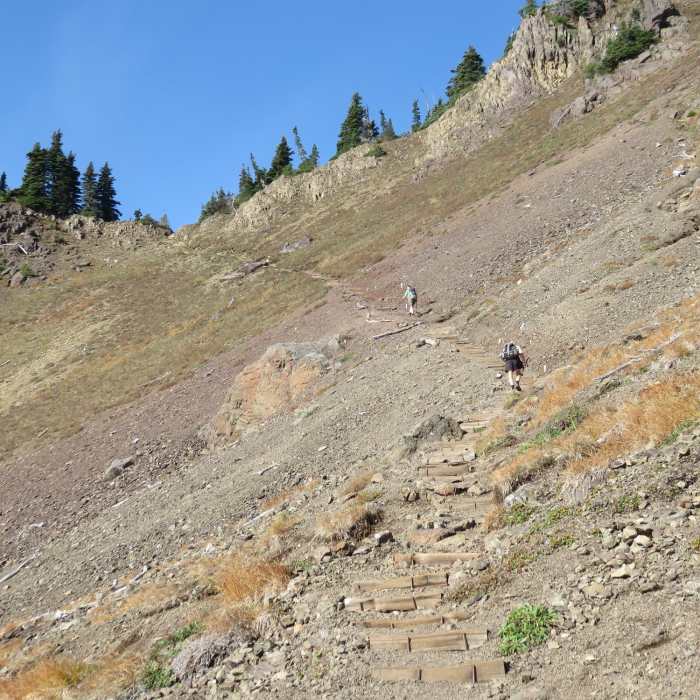 "Stairway to Heaven" or the diagonal staircase. Near Mt. Ellinor Winter Route