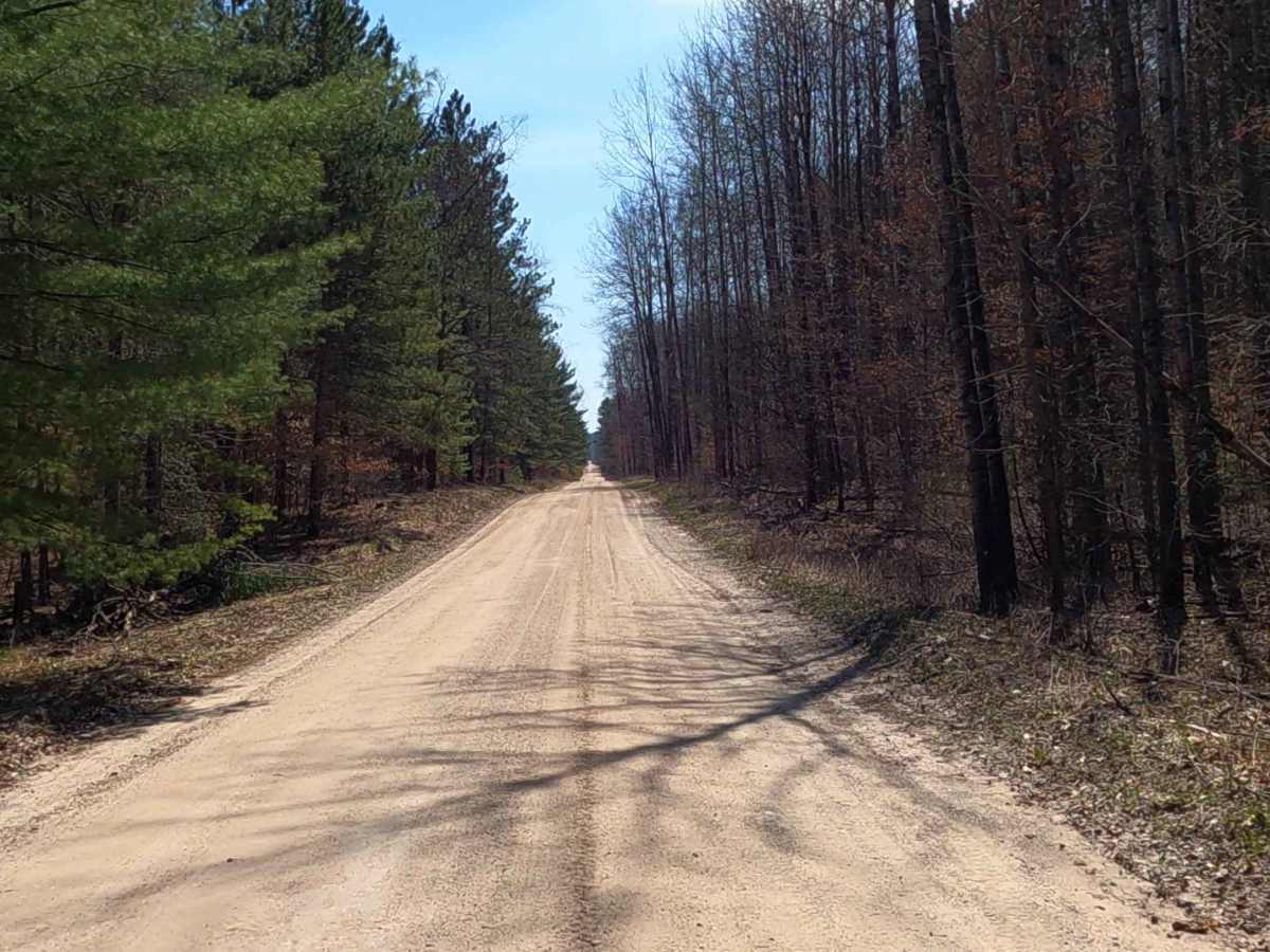 South Brodie Road trail photo