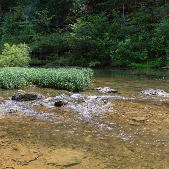 Near Cummins Falls State Park Hike