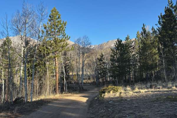 Mount Shavano - Aspen Cutoff