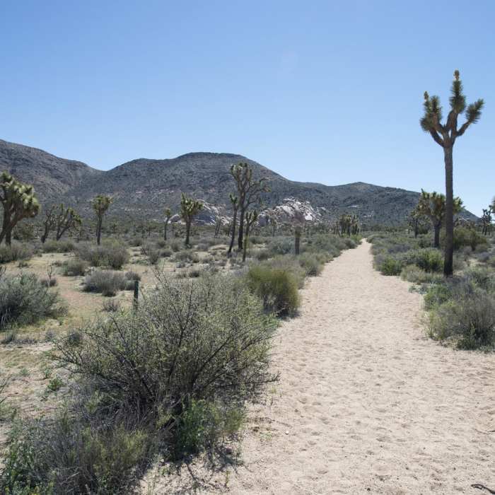 Near Ryan Ranch Trail Hike