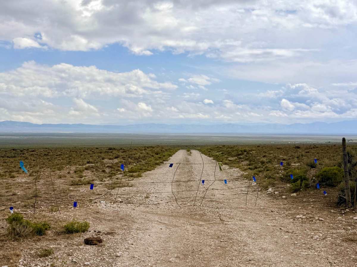 Lone Pine Ranch photo 5