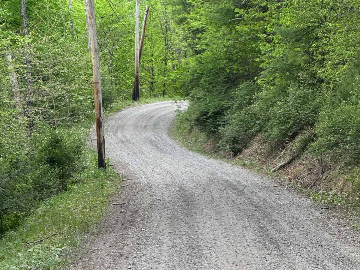 Osborne Road photo 5