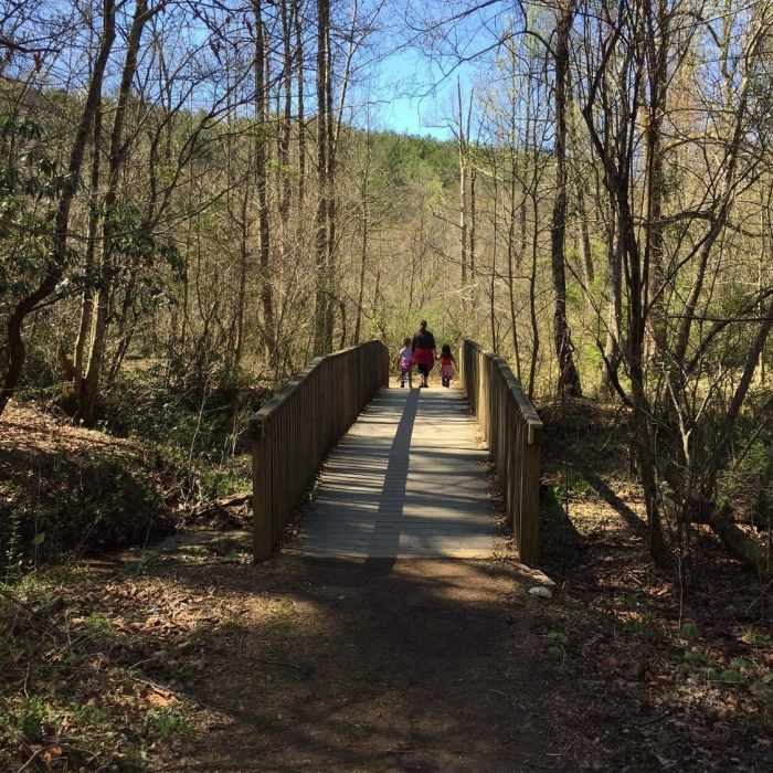 A sturdy bridge crosses a feeder stream that eventually joins Smith Creek. Near Helen Trail