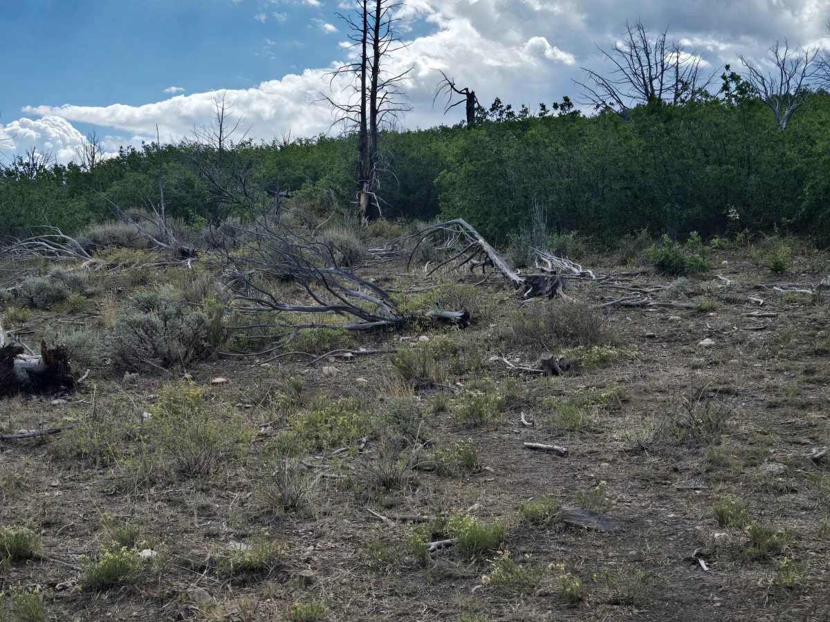Rugged Wash Trail - FS 41120 photo 5