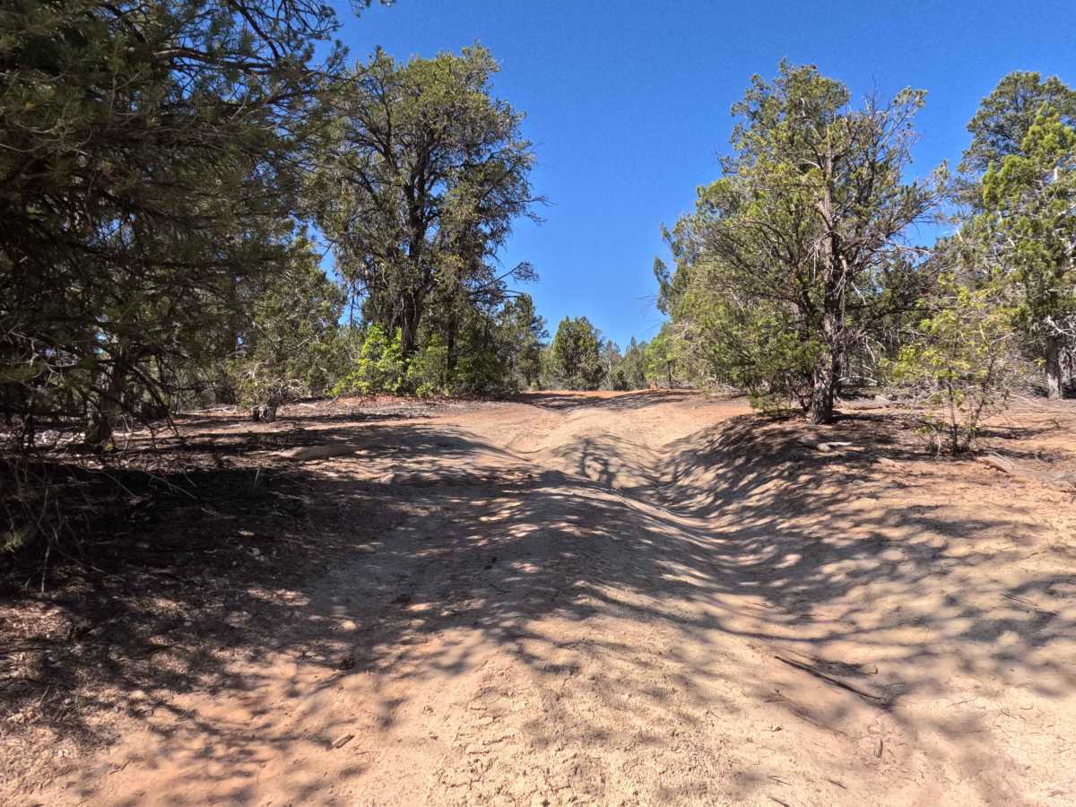 BLM 72D photo 5