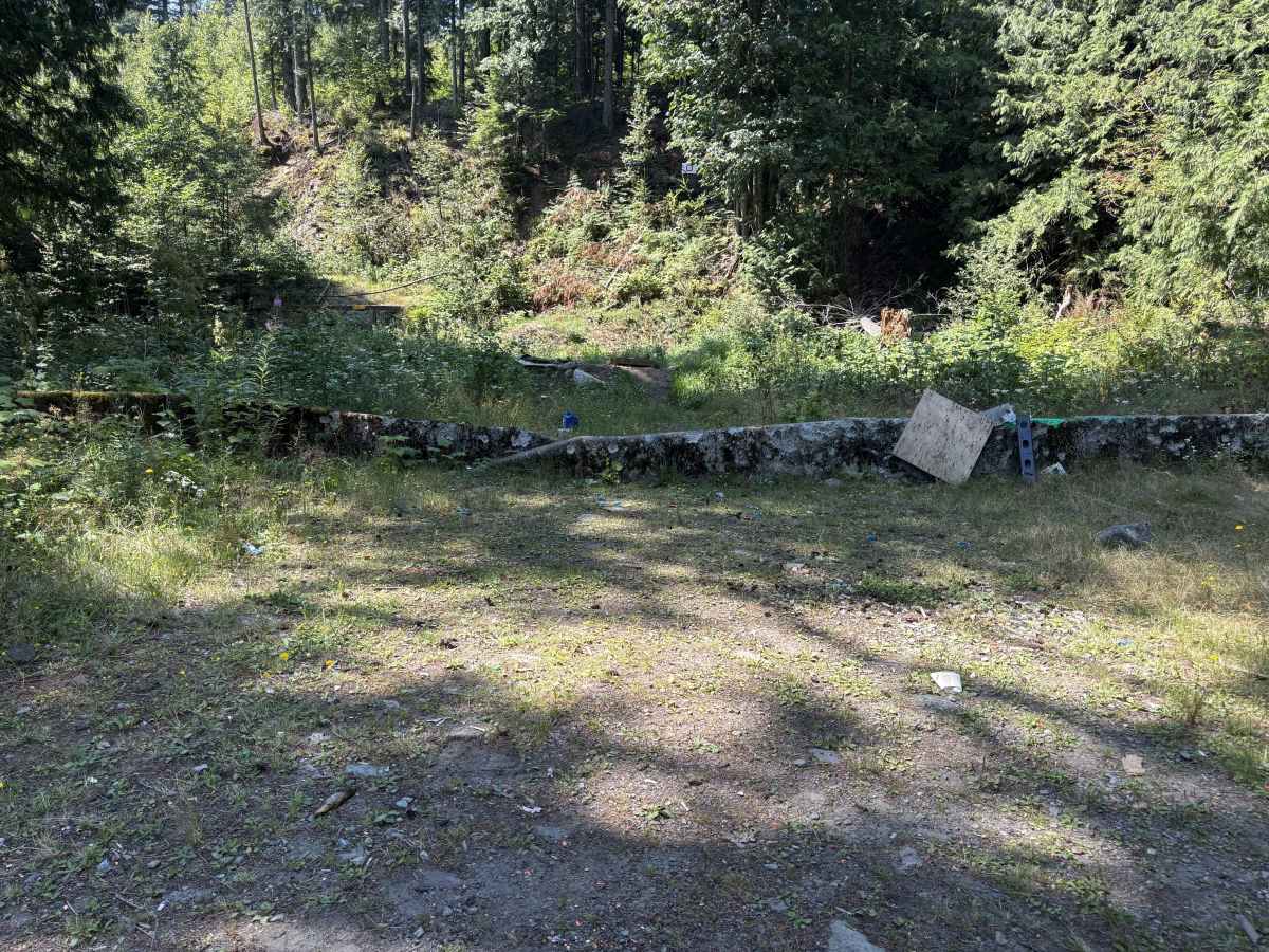 Ruby Forest Service Road photo 5