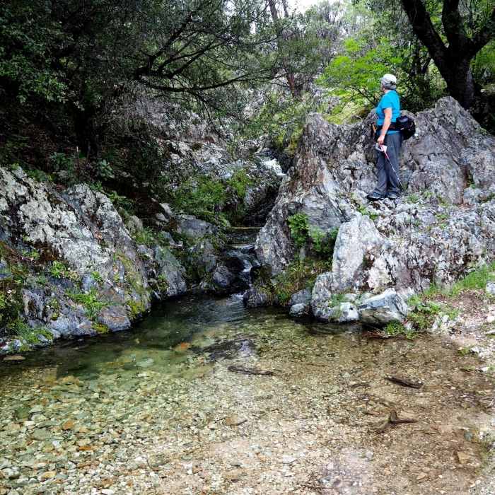 Near Mt. Shasta Mine Trail