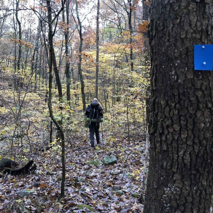 Near Brushy Creek Trail