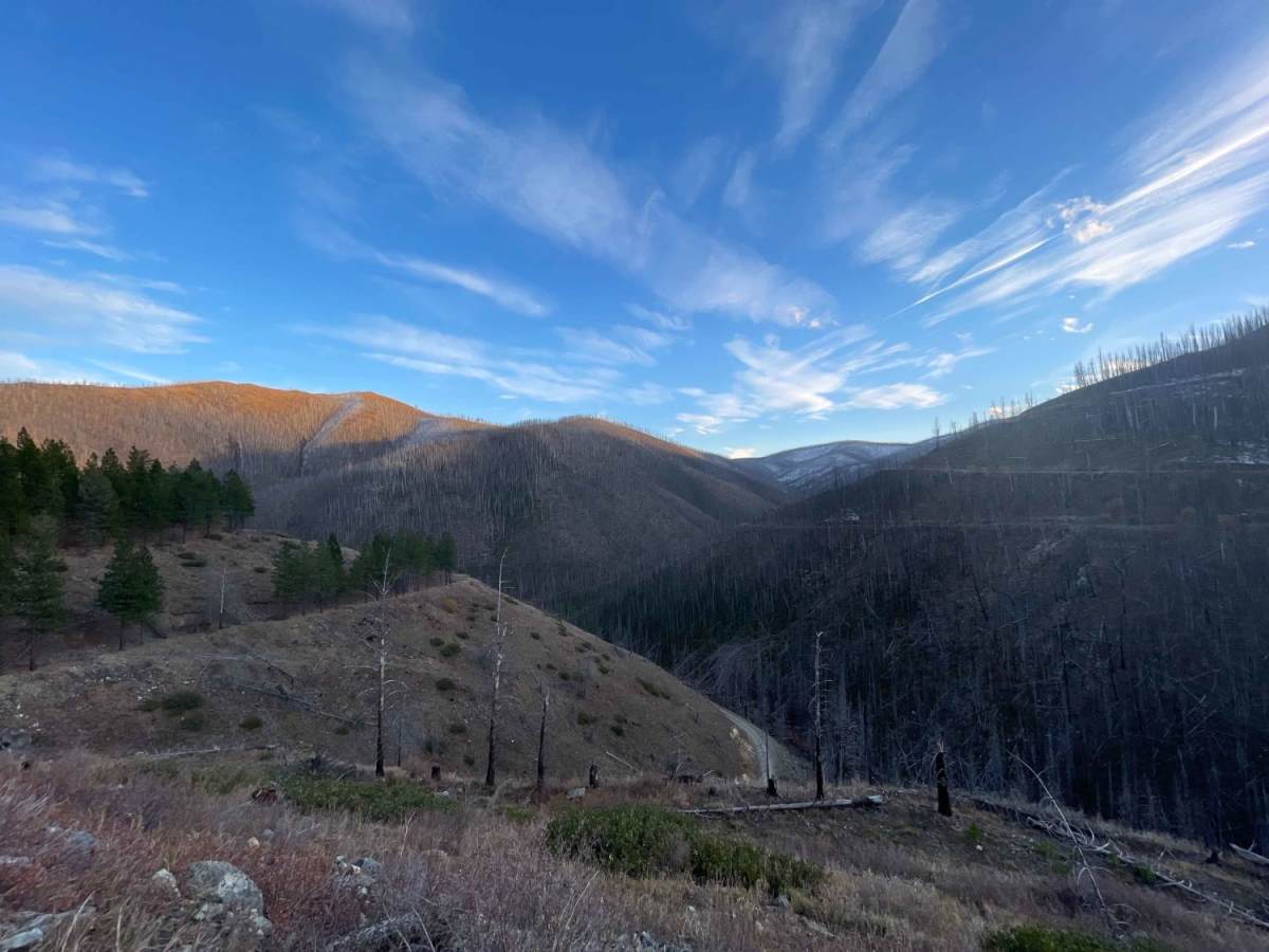 Woods Ridge Loop photo 5