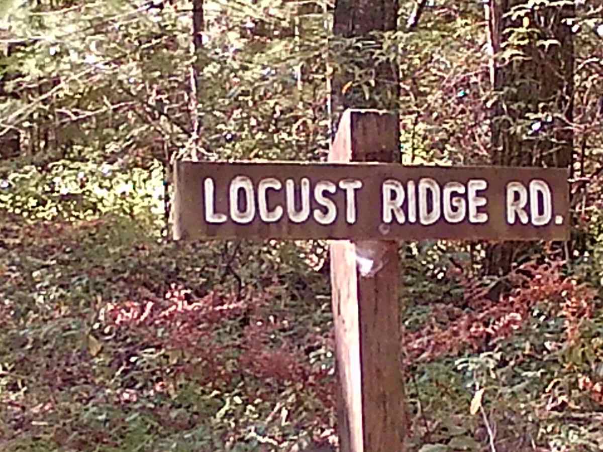 Locust Ridge road photo 5