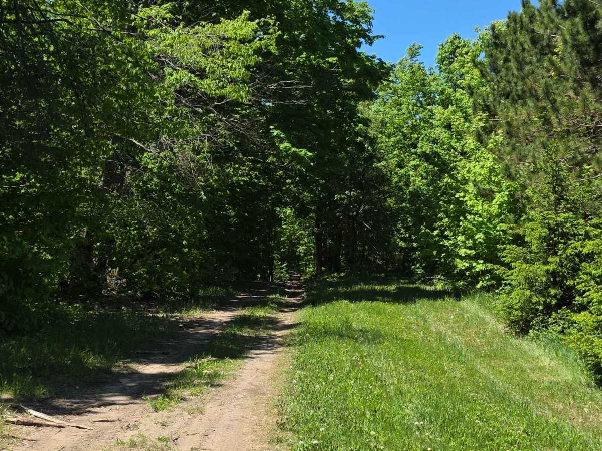 Wilber Hill photo 5