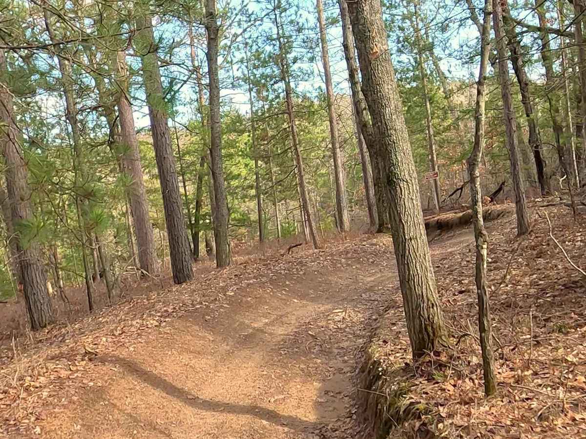 ORV H-57 7 : Mack- Bull Gap Trail photo 6