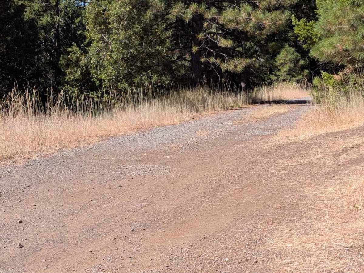 Wilson Point Road - FS 30N21  photo 2