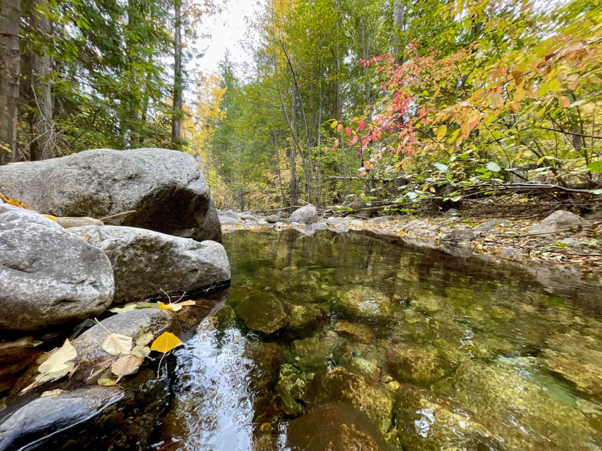 North Fork Gold Creek photo 4