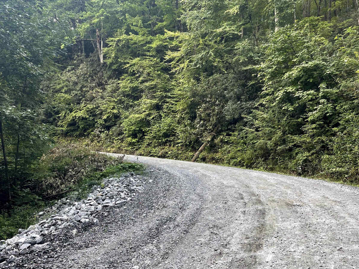 Little Bald Mountain  photo 3