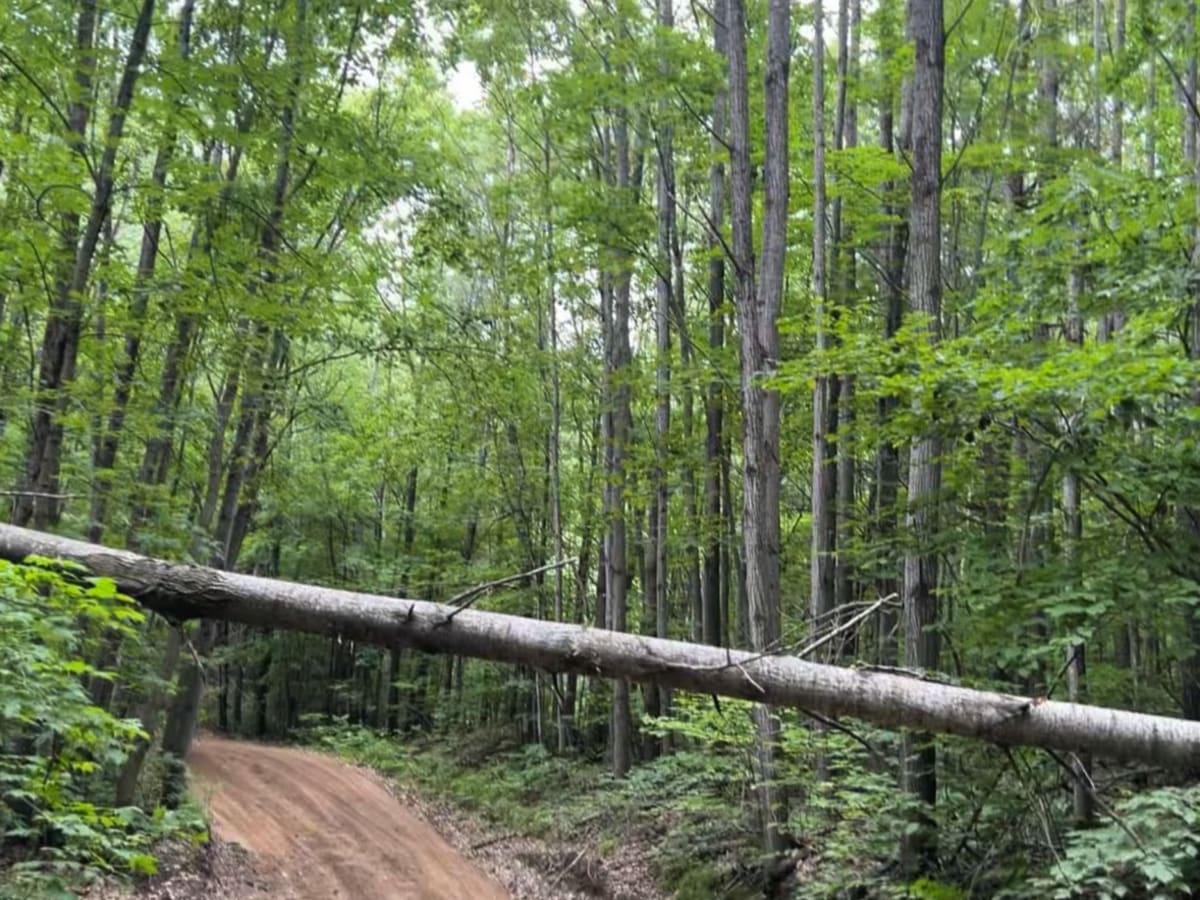 Harrison Hills ATV West Branch photo 4