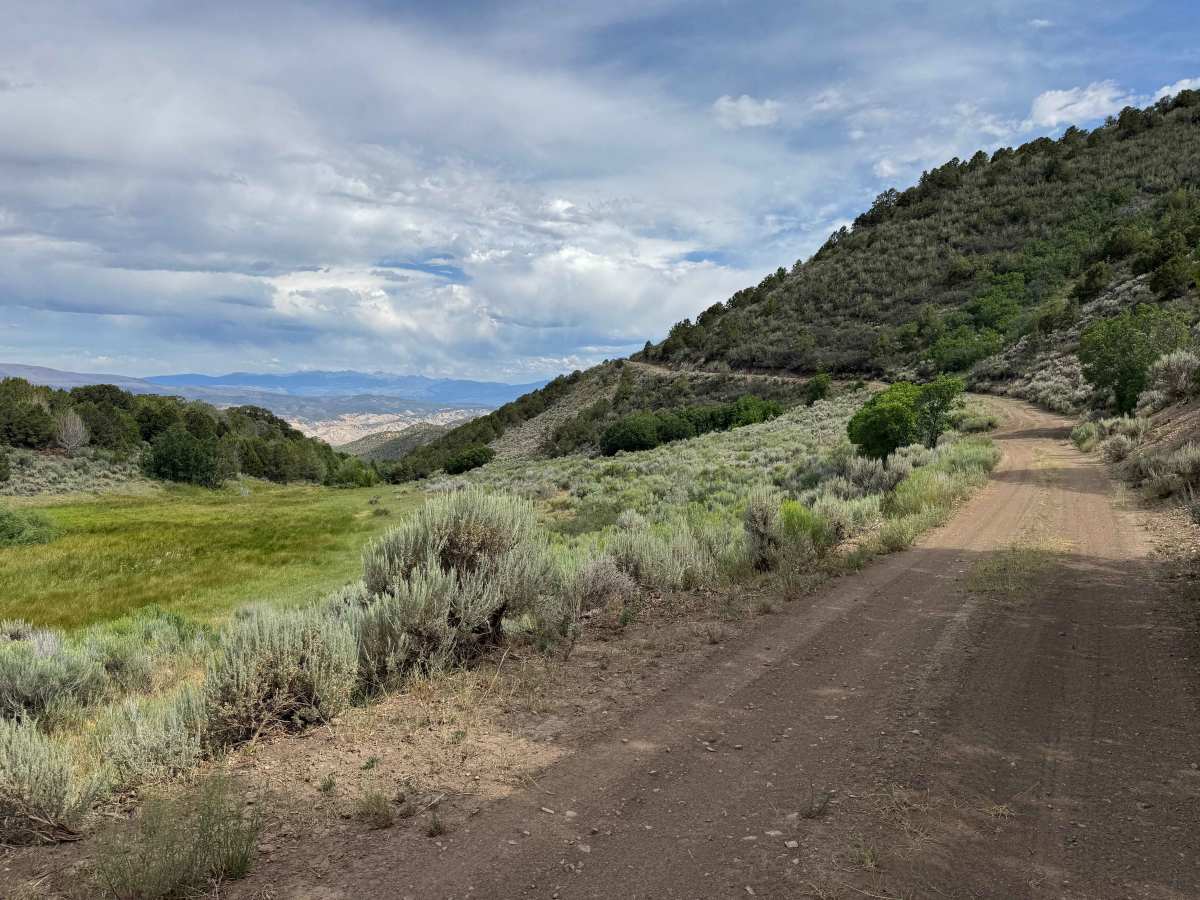 BLM 8452 trail photo