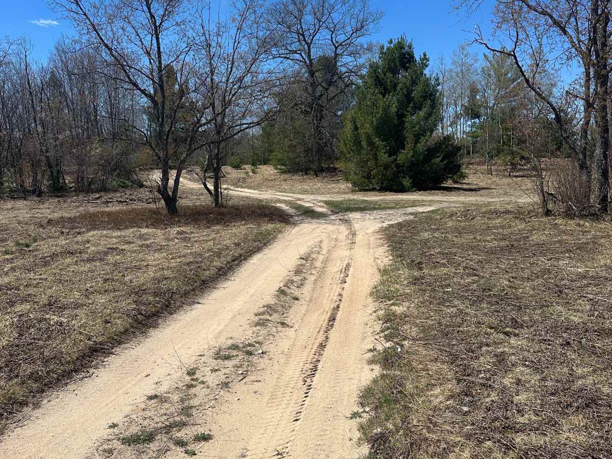 North Manistee River Loop trail photo