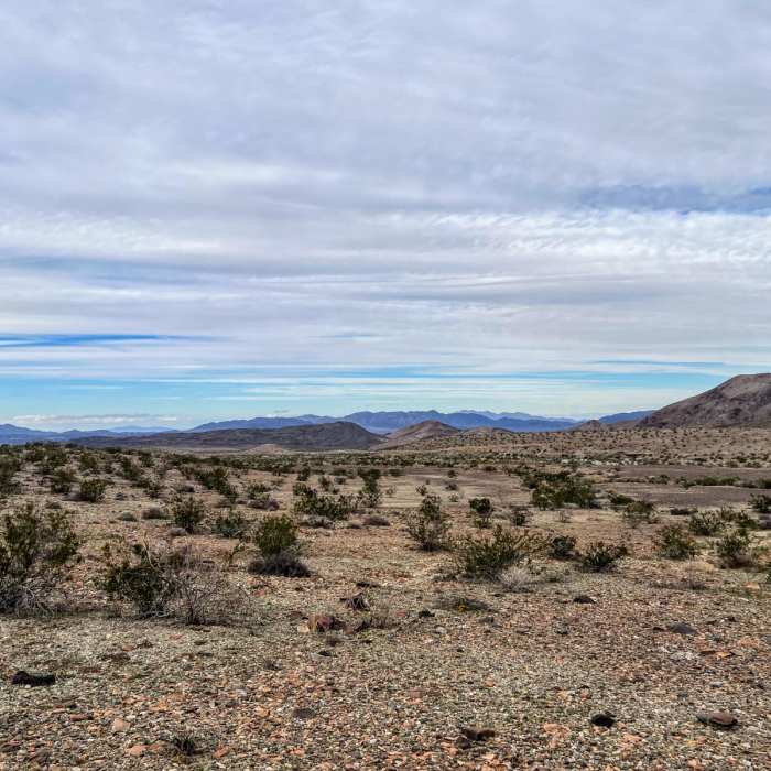 Near Black Eagle Mine Road