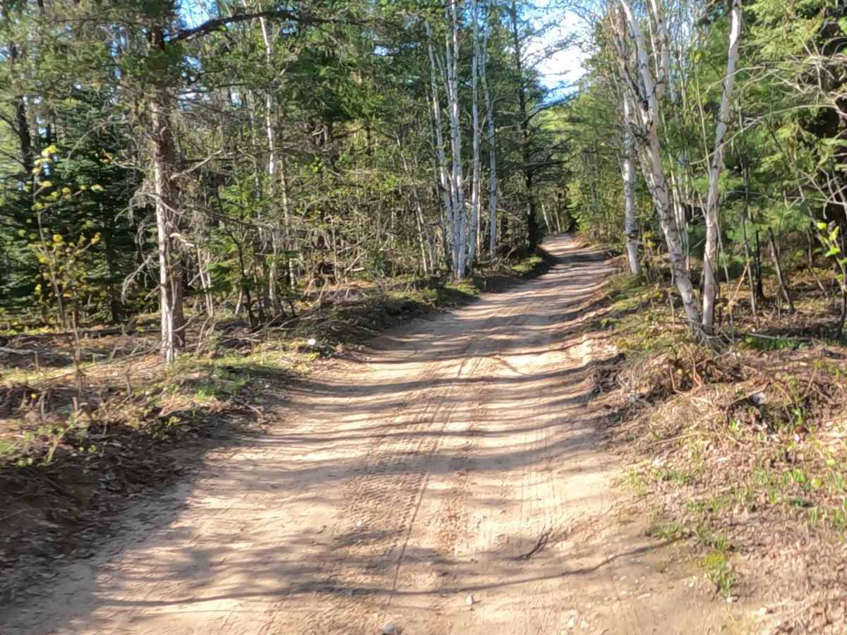 North Brooks Road photo 6
