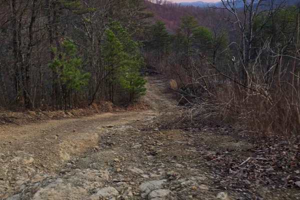 Buffalo Mountain