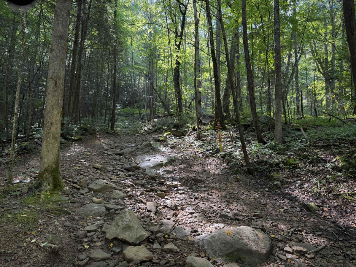 Long Haul Hollow Trail 31  photo 6