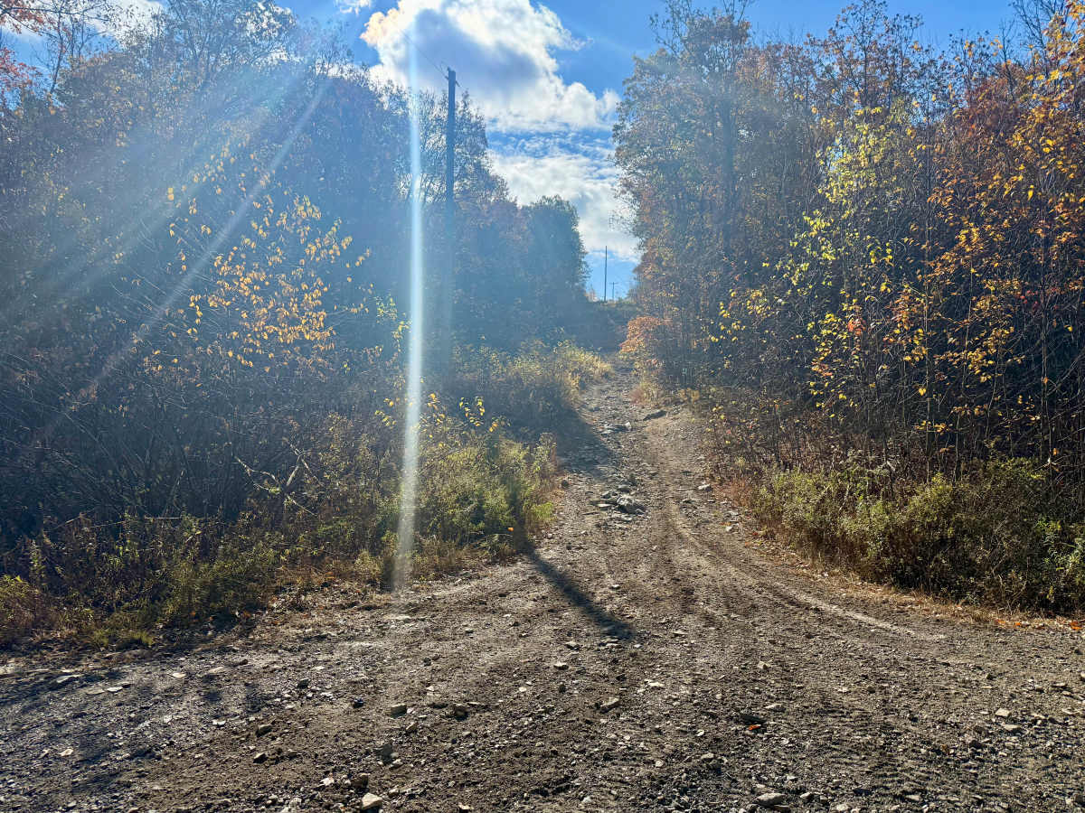 Trail 4 photo 5