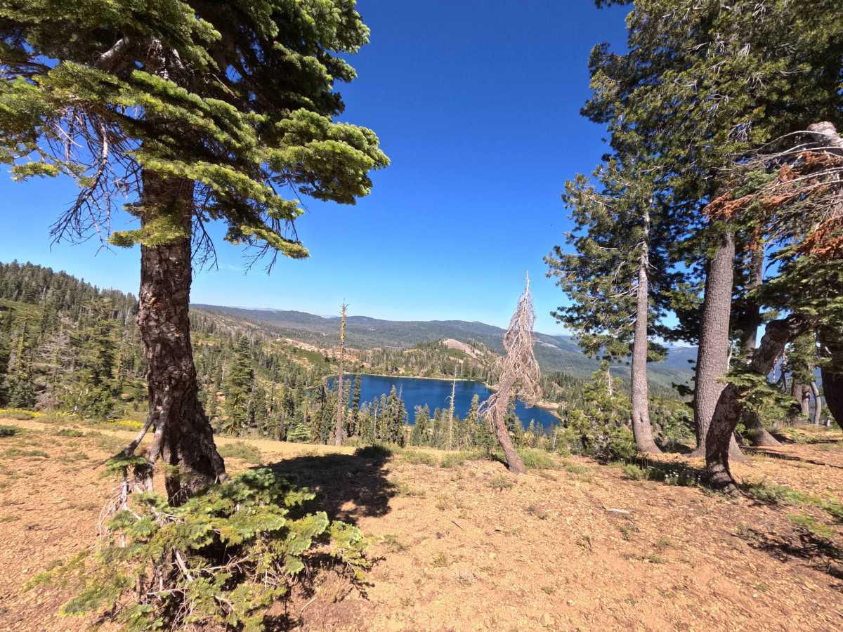 Lots A Lakes OHV Trail - FS 12E66 trail photo