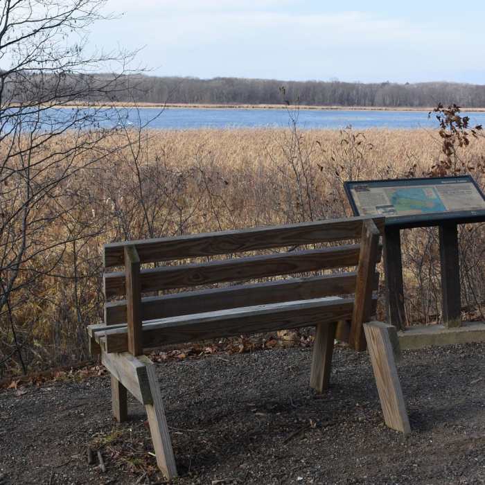 Near Hiking Club Trail - Mille Lacs Kathio State Park