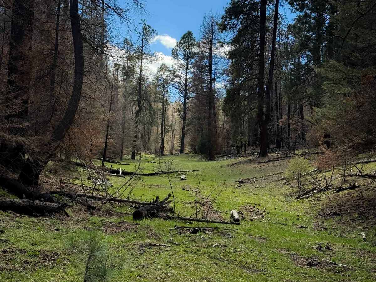 706 trail photo