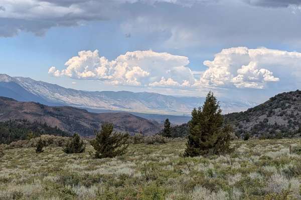 Big Spring Road West - FS 31083