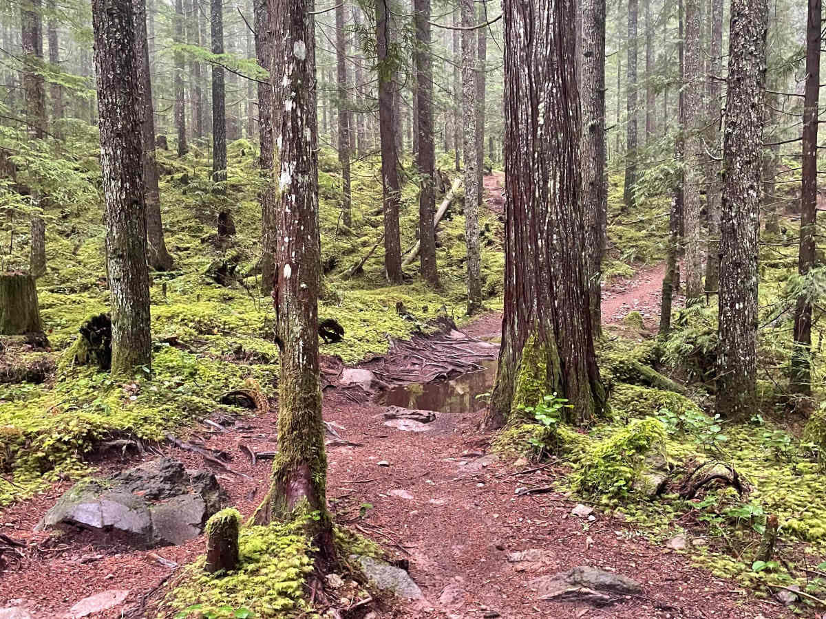 Wray's Way photo 4