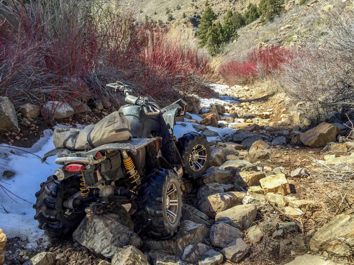Left Hand Fork Trail photo 5