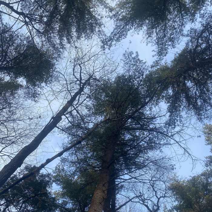 Near Skirting Rabbit Mountain Loop