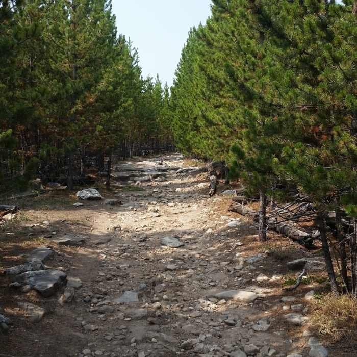 Near Lake Angeline Trail #88