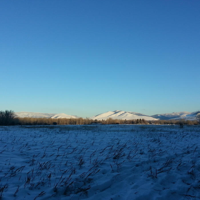 Near Maclay Flats Trail 14.01