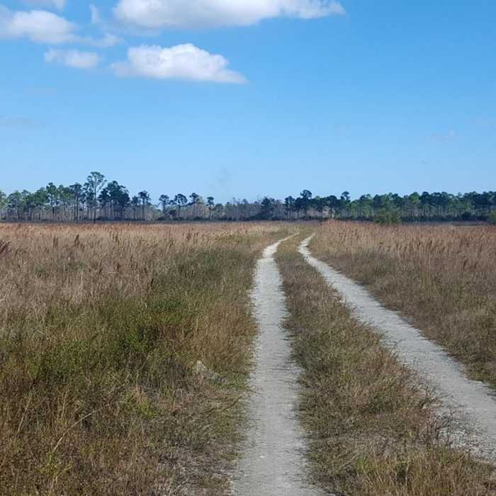 Near Quail Trail