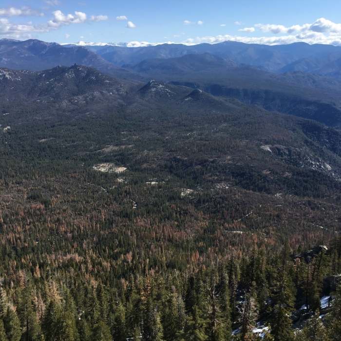 Near The Needles Lookout