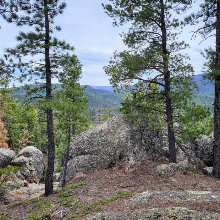 Near Second Mace Spur #1322.A