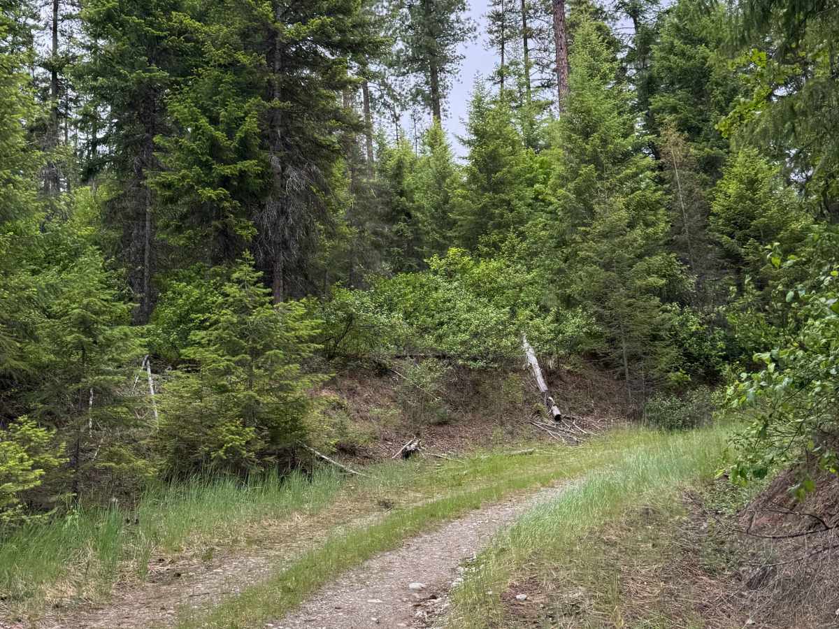 Contact Mountain - FS 3165-330 photo 6