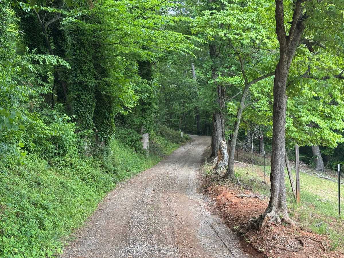 Headtown Creek - FS 656 trail photo